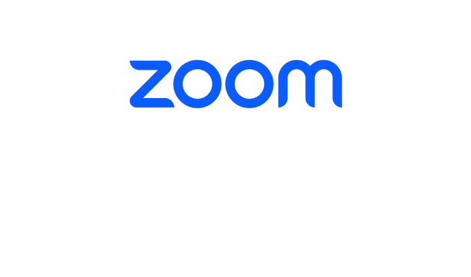 logo Zoom One