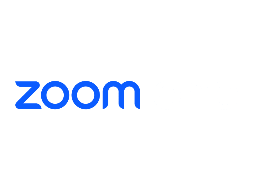 Zoom One
